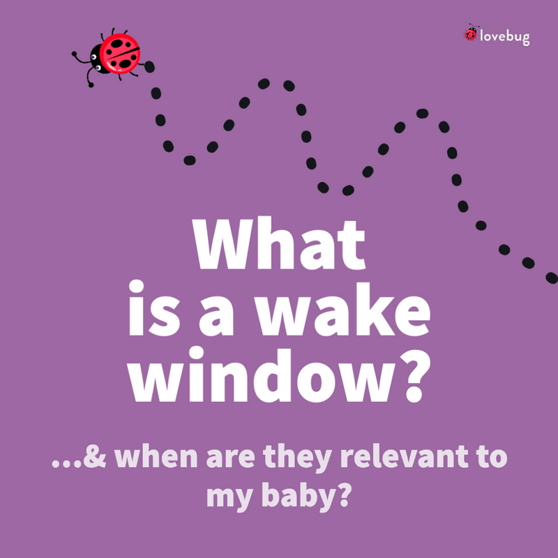 Wake Windows The Comprehensive Guide
